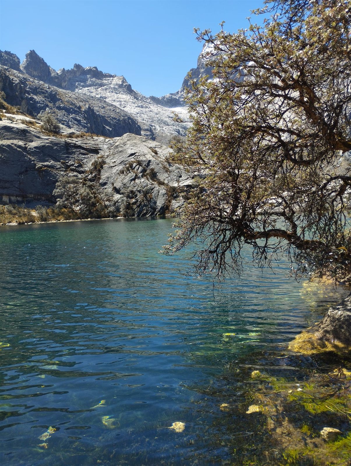 Laguna Churup