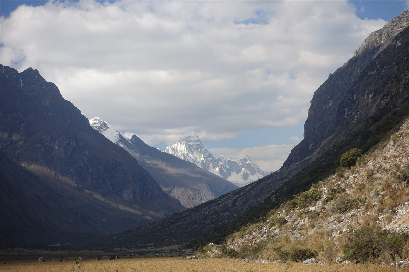 Day 1 — Portachuelo Pass and Paria camp